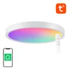 Kép 1/6 - Gosund LB12 WiFi/Bluetooth intelligens mennyezeti lámpa, 1920lm, 30cm, 16M, Tuya + távirányító